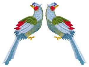Two Colourful Birds (Square Hoop)
