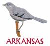 Arkansas State Bird - Mockingbird