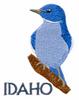 Idaho State Bird - Mountain Bluebird