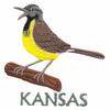 Kansas State Bird - Wester Meadowlark