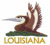 Louisiana State Bird - Eastern Brown Pelican