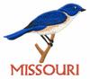 Missouri State Bird - Bluebird