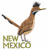 New Mexico State Bird - Roadrunner