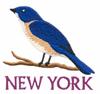 New York State Bird - Bluebird
