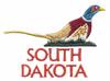 South Dakota State Bird - Ring-necked Pheasant