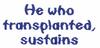 Connecticut Motto - He who transplanted, sustains