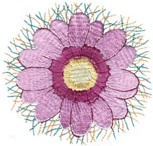 Cosmos Flower #1