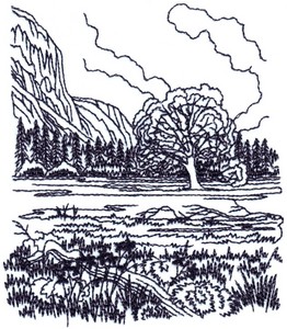 Mountain Meadow Landscape ( small )