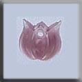 Mill Hill Glass Treasures / Very Small Tulip Marbled Rose  12157