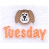 Boys Tuesday Puppy