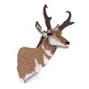Pronghorn Antelope Head