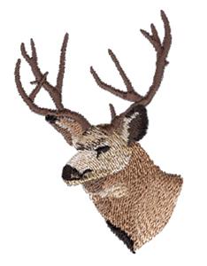 Mule Deer Head
