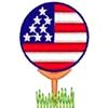 USA Golf Ball