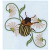 Decorative Beetle