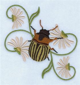 Decorative Beetle