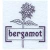 Bergamot Tea Herb