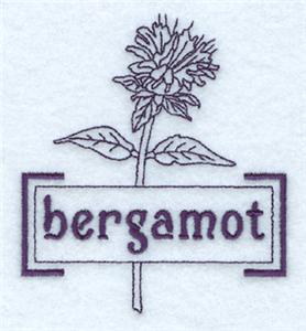 Bergamot Tea Herb