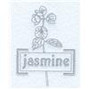 Jasmine Tea Herb
