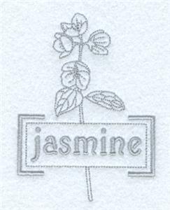 Jasmine Tea Herb