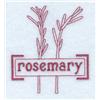 Rosemary Tea Herb
