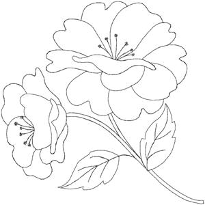 Quilters Flower 5 / Regular