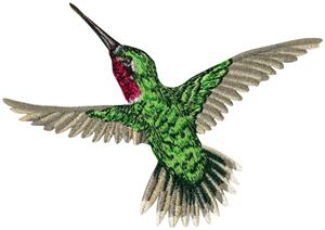 Hummingbird 1 Larger