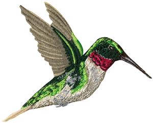 Hummingbird 4 Smaller