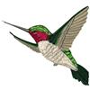 Humingbird 5 Smaller