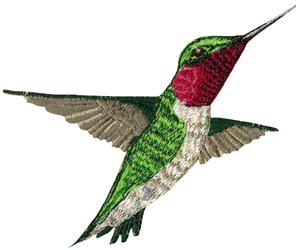 Humingbird 6 Larger