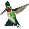 Humingbird 7 Smaller