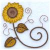 Jacobean Sunflower