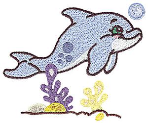 Dolphin and coral