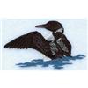Loon Flapping Wings