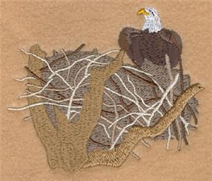 Eagle at Nest