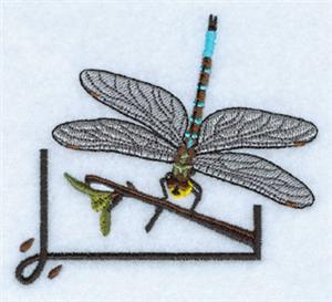 Dragonfly 10