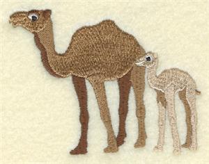 Camel Mom and Baby