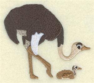 Ostrich Mom and Baby