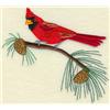 Cardinal on Summer Pine