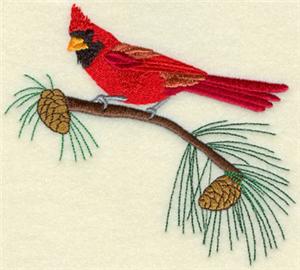 Cardinal on Summer Pine
