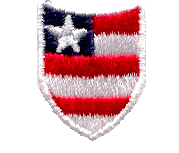 American Shield with Flag