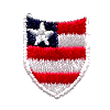 American Shield with Flag