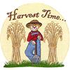 Harvest Time Scarecrow