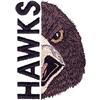 Hawks Mascot