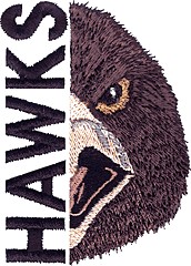 Hawks Mascot