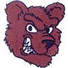 Bear Head Mascot