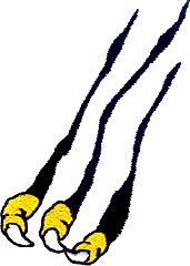 Eagle Rip Claw Mascot