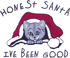 Santa Hat/Cat