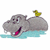 Duck riding on hippo