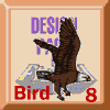 Bird 8