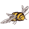 Big Bee #2